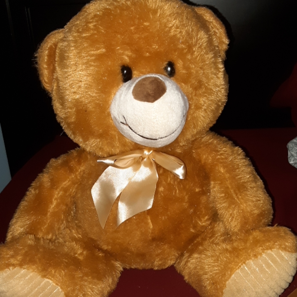 Teddy Bear of Love